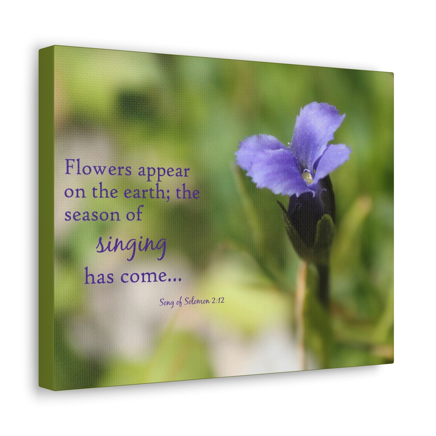 Season Of Singing Song Of Solomon 2:12 Bible Verse Canvas Christian Wall Art Bible Verse Print Ready To Hang