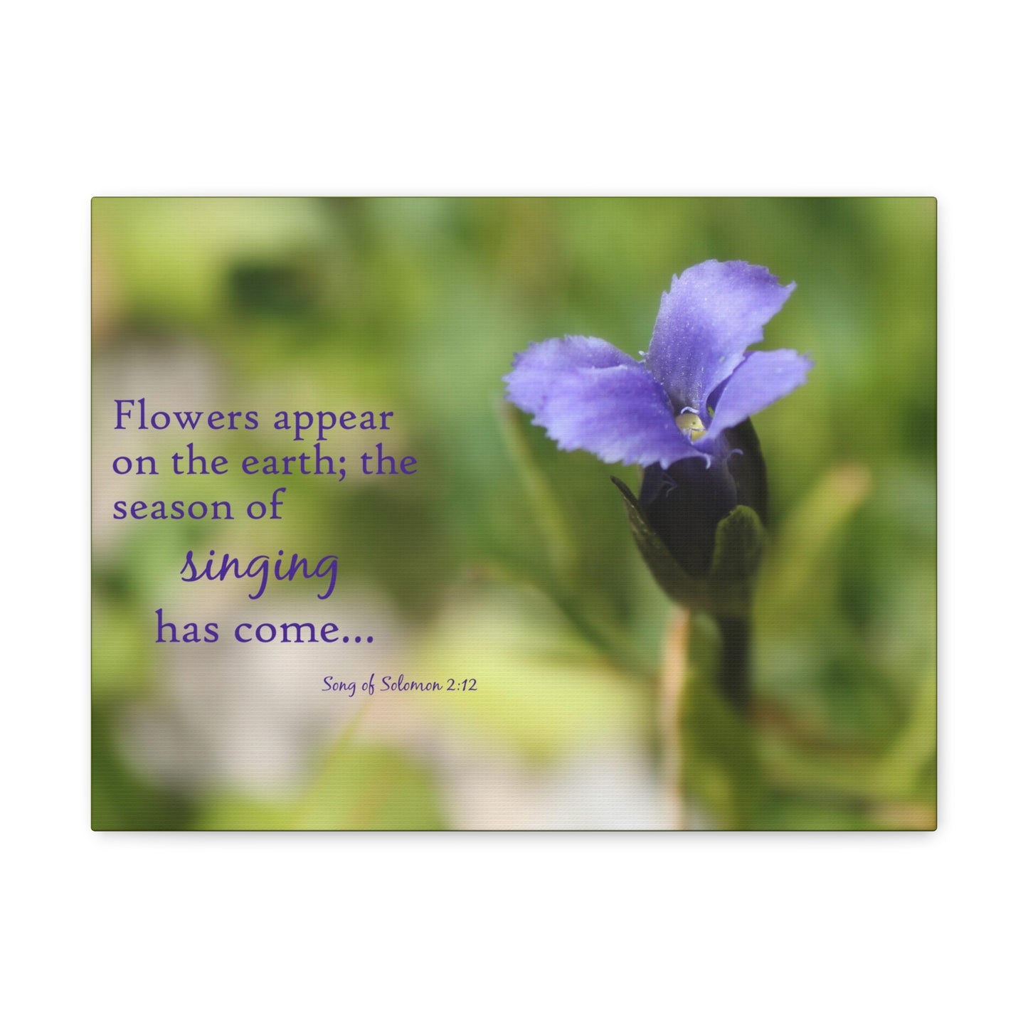 Season Of Singing Song Of Solomon 2:12 Bible Verse Canvas Christian Wall Art Bible Verse Print Ready To Hang