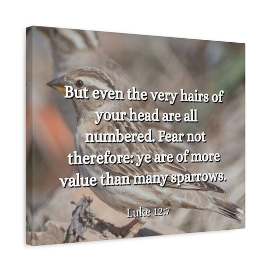 Scripture Canvas Forgotten Luke 12:7 Christian Wall Art Bible Verse Print Ready to Hang