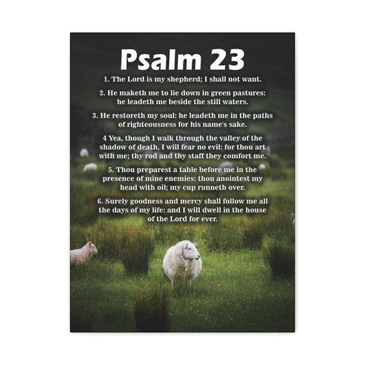 The Lord is My Shepherd Psalm 23:3 Christian Wall Art Bible Verse Print Ready to Hang