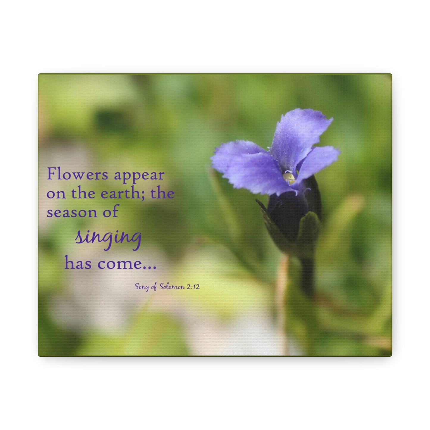 Season Of Singing Song Of Solomon 2:12 Bible Verse Canvas Christian Wall Art Bible Verse Print Ready To Hang