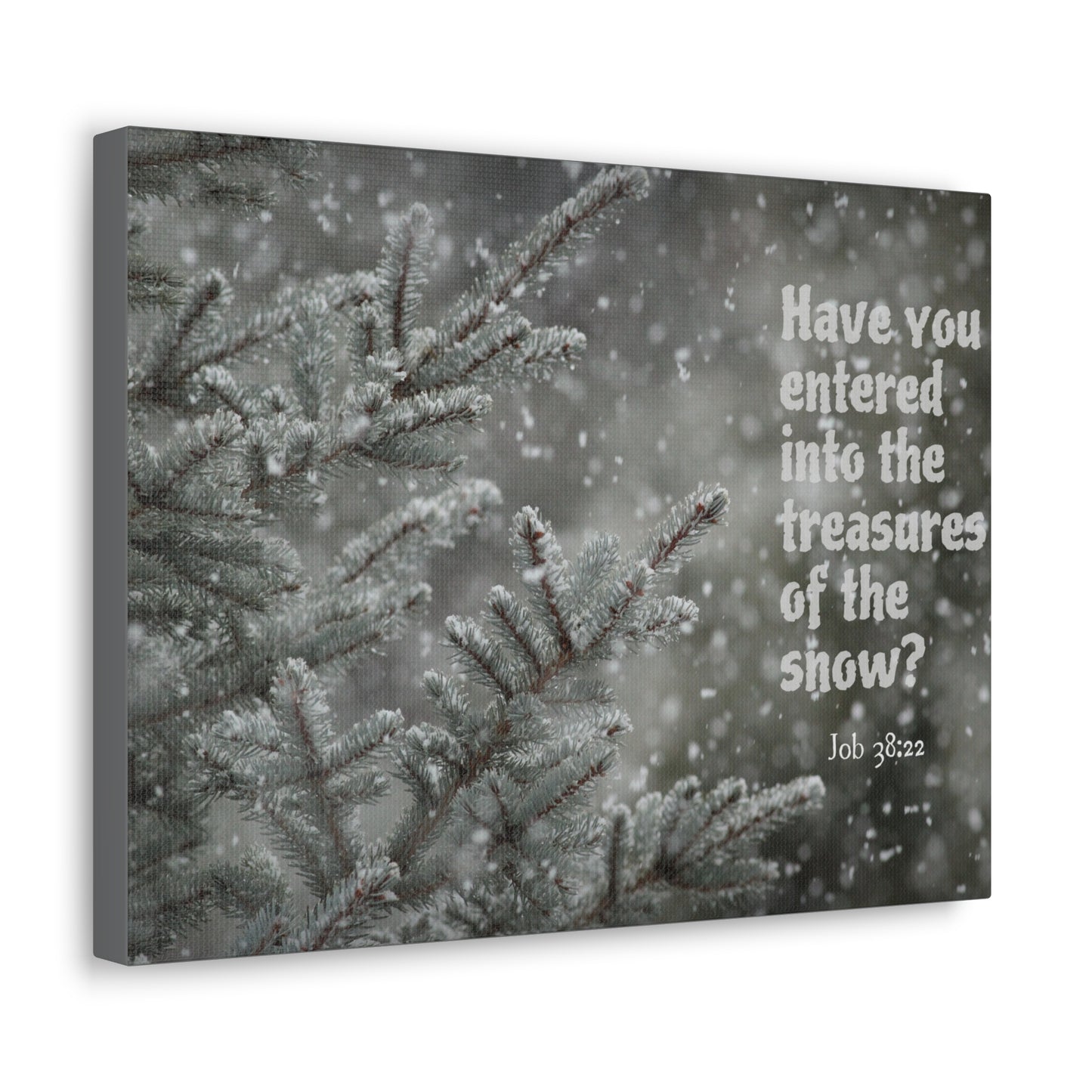 Treasures Of The Show Job 38:22 Bible Verse Canvas Christian Wall Art Bible Verse Print Ready To Hang