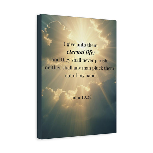 Scripture Walls John 10:28 Eternal Assurance Bible Verse Canvas Christian Wall Art Ready to Hang Unframed