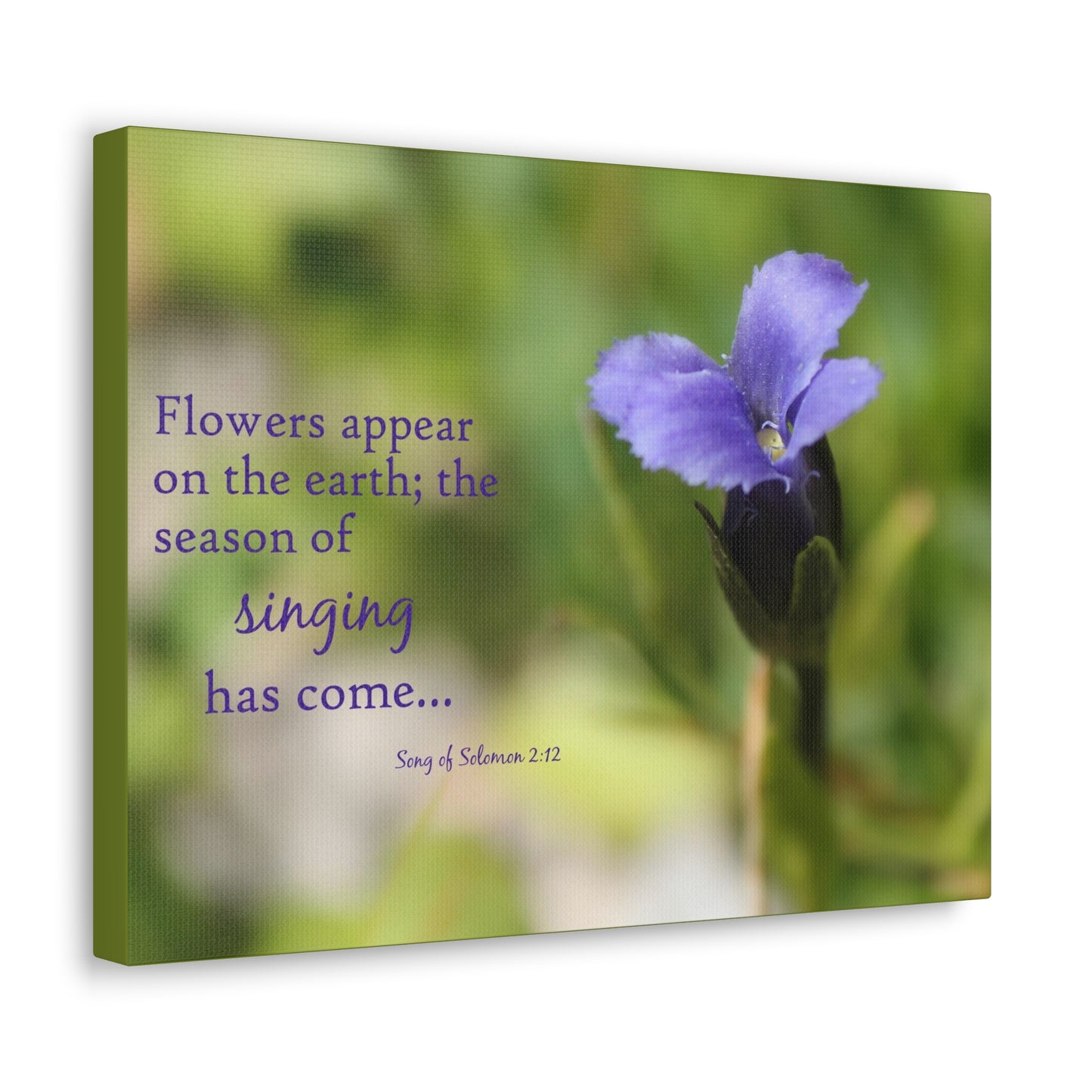Season Of Singing Song Of Solomon 2:12 Bible Verse Canvas Christian Wall Art Bible Verse Print Ready To Hang
