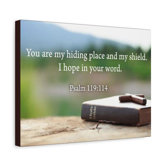 Scripture Walls Hiding Place Psalm 119:114 Bible Verse Canvas Christian Wall Art Ready to Hang
