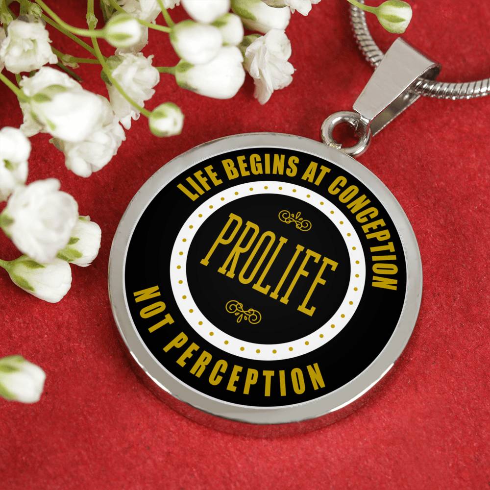 Prolife Life Begins At Conception Circle Necklace Stainless Steel or 18k Gold 18-22"-Express Your Love Gifts