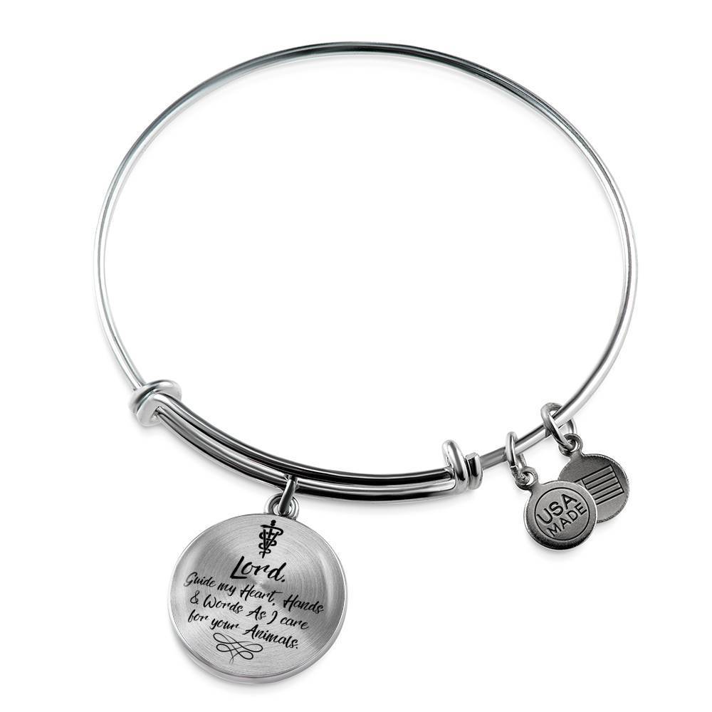 Veterinarians Prayer Caduceus Stainless Steel or 18k Gold Circle Bangle Bracelet - Express Your Love Gifts