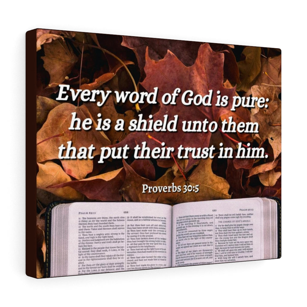 A Shield Proverbs 30:5 Bible Verse Canvas Christian Wall Art Ready to Hang Unframed-Express Your Love Gifts