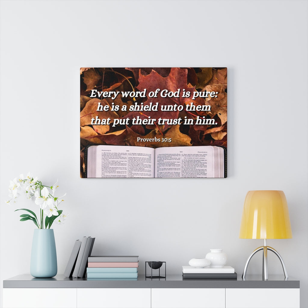 A Shield Proverbs 30:5 Bible Verse Canvas Christian Wall Art Ready to Hang Unframed-Express Your Love Gifts