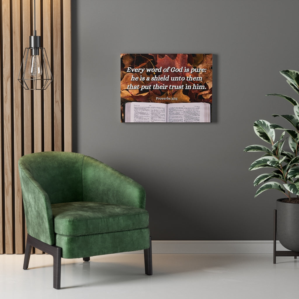 A Shield Proverbs 30:5 Bible Verse Canvas Christian Wall Art Ready to Hang Unframed-Express Your Love Gifts