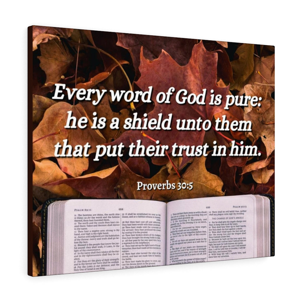 A Shield Proverbs 30:5 Bible Verse Canvas Christian Wall Art Ready to Hang Unframed-Express Your Love Gifts