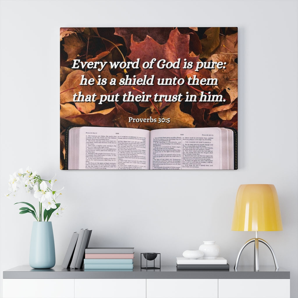 A Shield Proverbs 30:5 Bible Verse Canvas Christian Wall Art Ready to Hang Unframed-Express Your Love Gifts