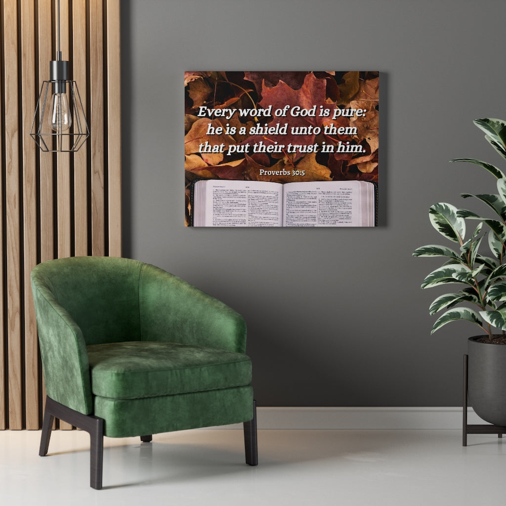 A Shield Proverbs 30:5 Bible Verse Canvas Christian Wall Art Ready to Hang Unframed-Express Your Love Gifts