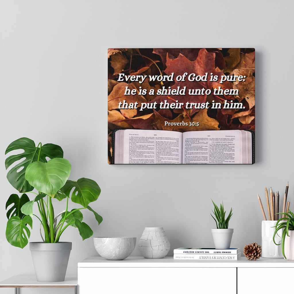A Shield Proverbs 30:5 Bible Verse Canvas Christian Wall Art Ready to Hang Unframed-Express Your Love Gifts