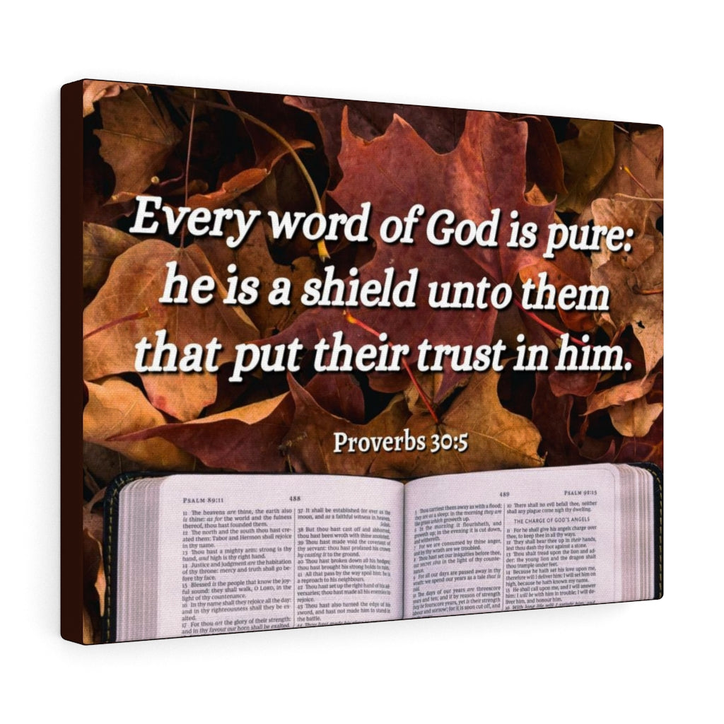 A Shield Proverbs 30:5 Bible Verse Canvas Christian Wall Art Ready to Hang Unframed-Express Your Love Gifts