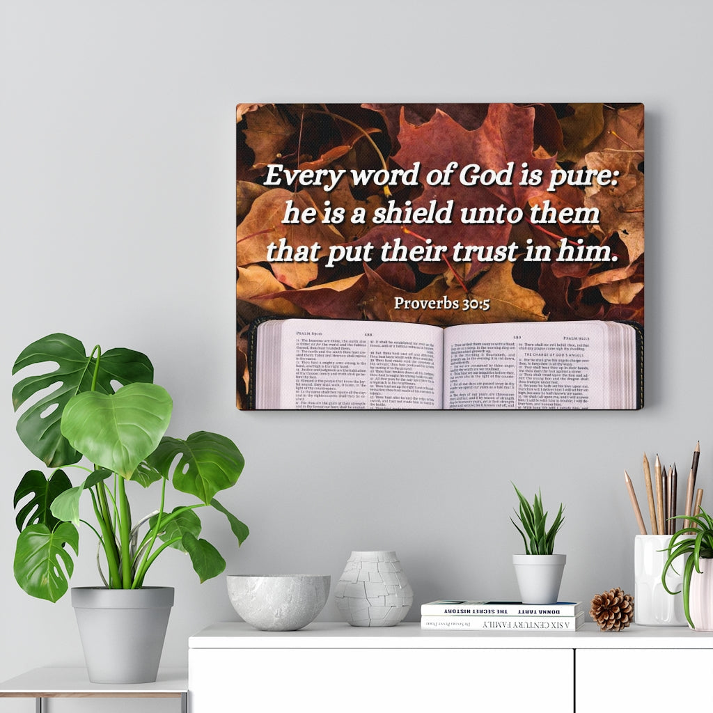 A Shield Proverbs 30:5 Bible Verse Canvas Christian Wall Art Ready to Hang Unframed-Express Your Love Gifts