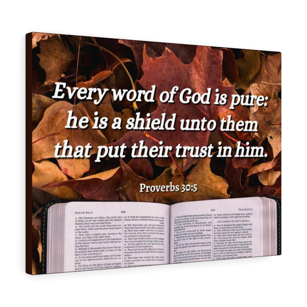 A Shield Proverbs 30:5 Bible Verse Canvas Christian Wall Art Ready to Hang Unframed-Express Your Love Gifts