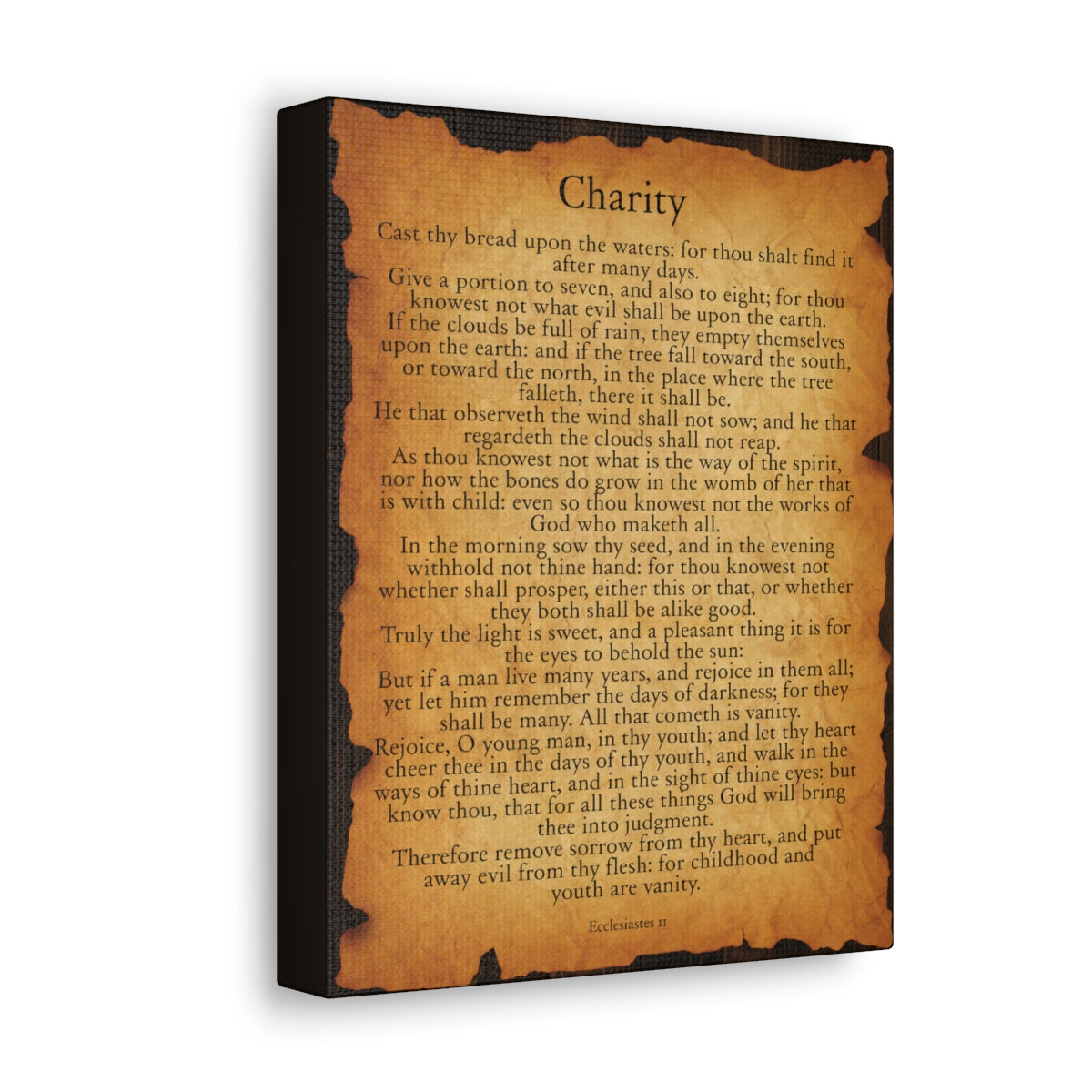 Scripture Walls Ecclesiastes 11 Chapter Gold Brown Bible Verse Canvas Christian Wall Art Ready to Hang Unframed-Express Your Love Gifts