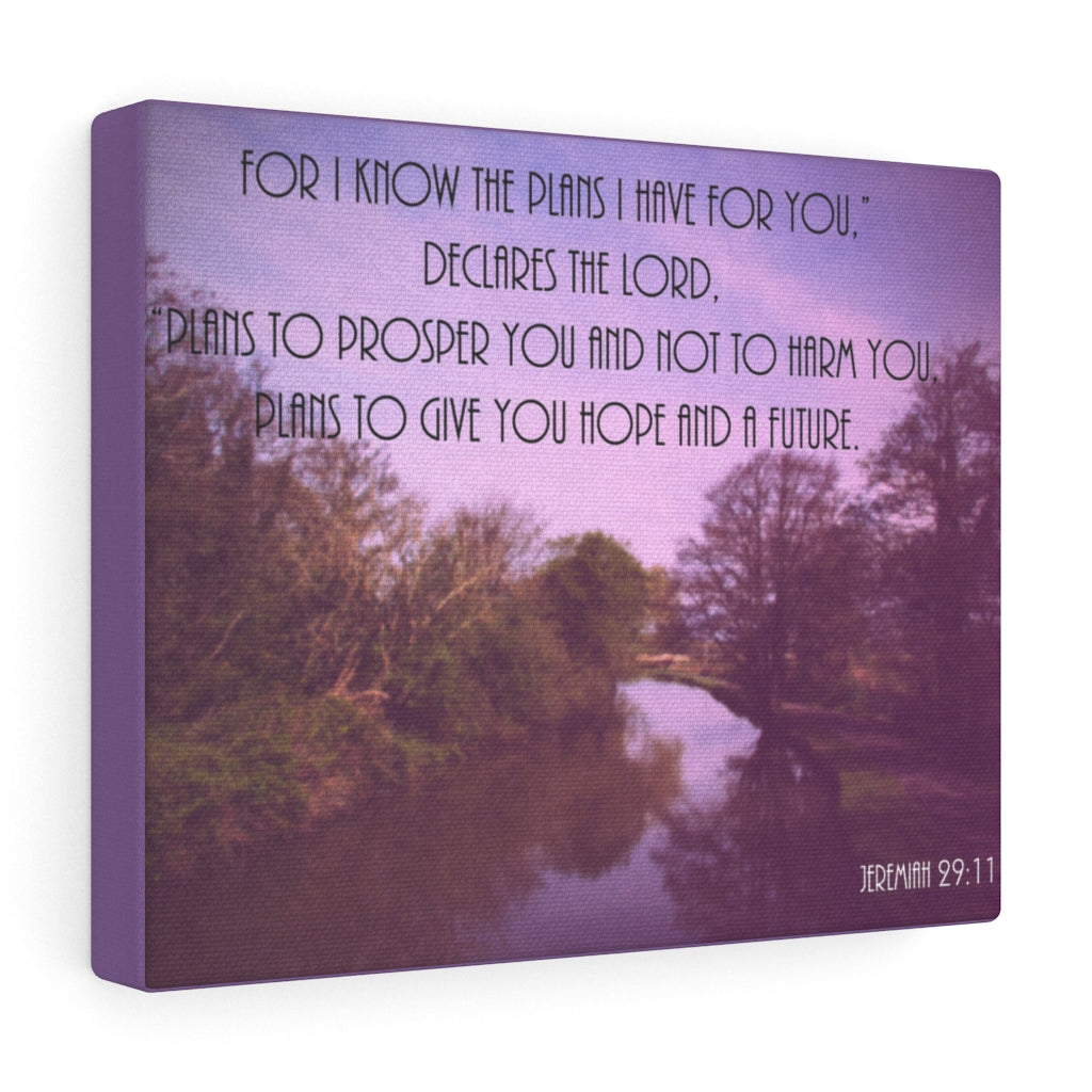 DeclAres The Lord Jeremiah 29:11 Purple Bible Verse Canvas Christian Wall Art Ready to Hang Unframed-Express Your Love Gifts