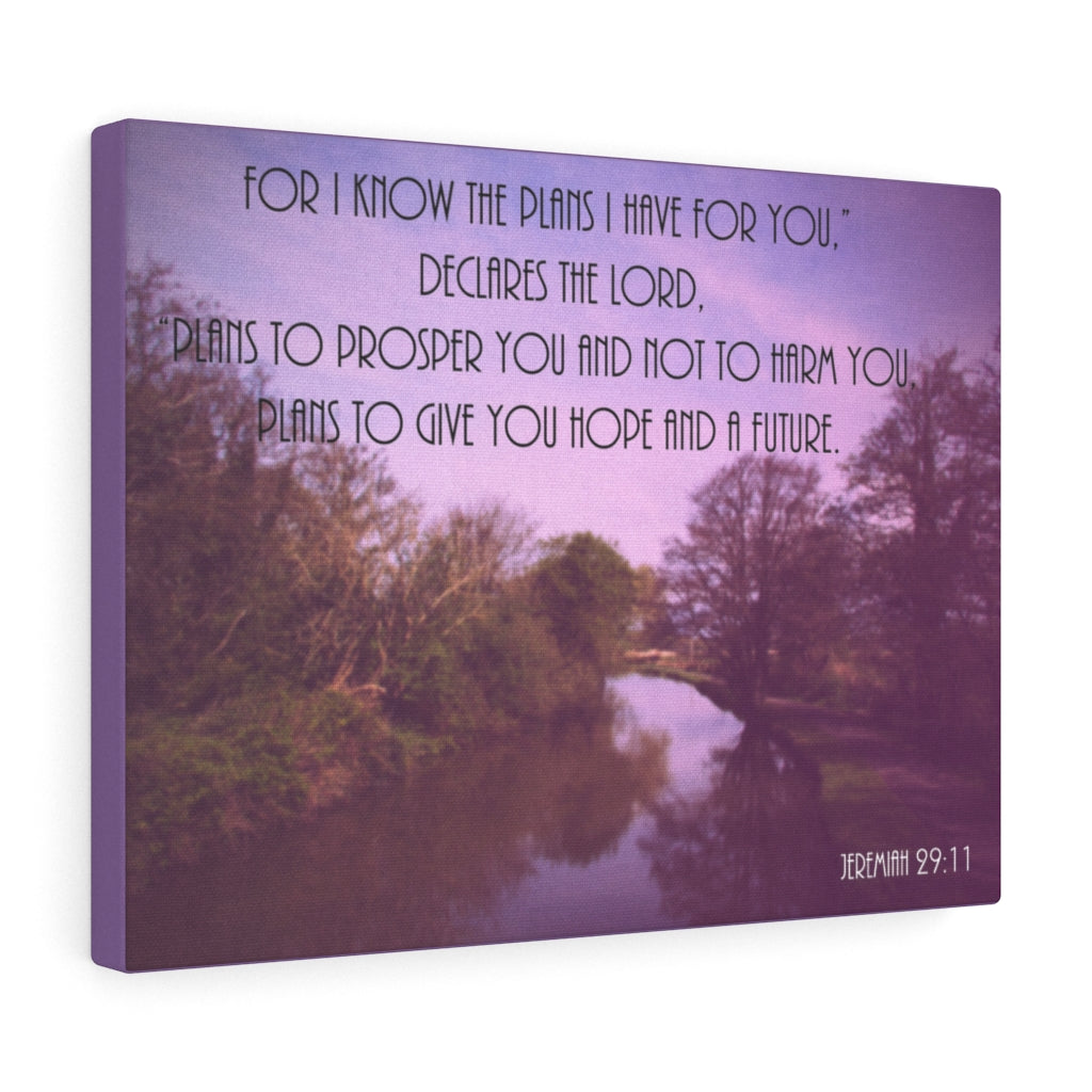 DeclAres The Lord Jeremiah 29:11 Purple Bible Verse Canvas Christian Wall Art Ready to Hang Unframed-Express Your Love Gifts