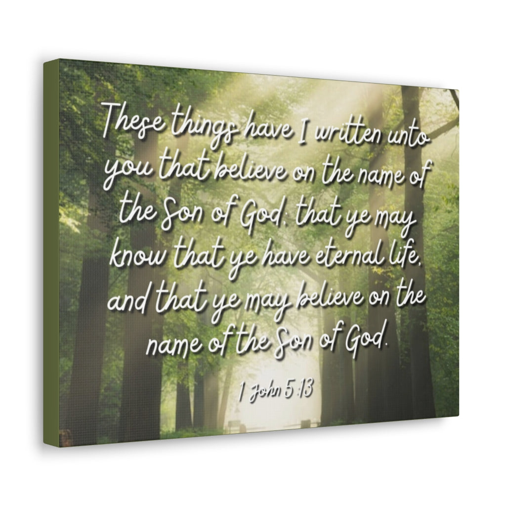 Scripture Walls Eternal Life 1 John 5:13 Bible Verse Canvas Christian Wall Art Ready to Hang Unframed-Express Your Love Gifts
