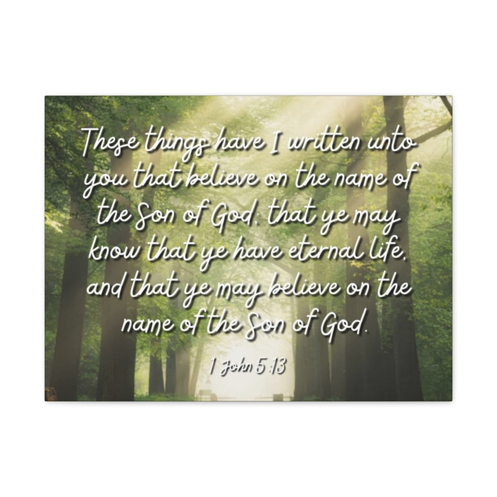 Scripture Walls Eternal Life 1 John 5:13 Bible Verse Canvas Christian Wall Art Ready to Hang Unframed-Express Your Love Gifts