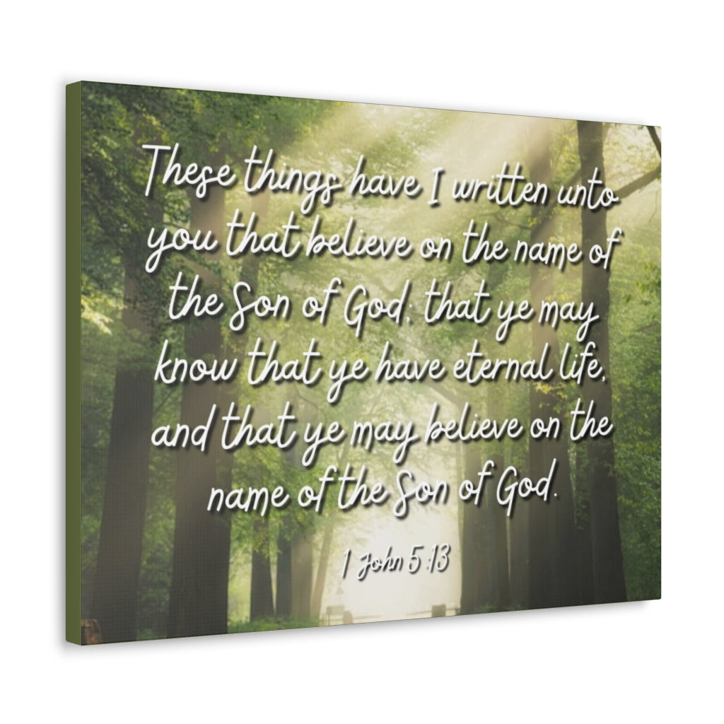 Scripture Walls Eternal Life 1 John 5:13 Bible Verse Canvas Christian Wall Art Ready to Hang Unframed-Express Your Love Gifts