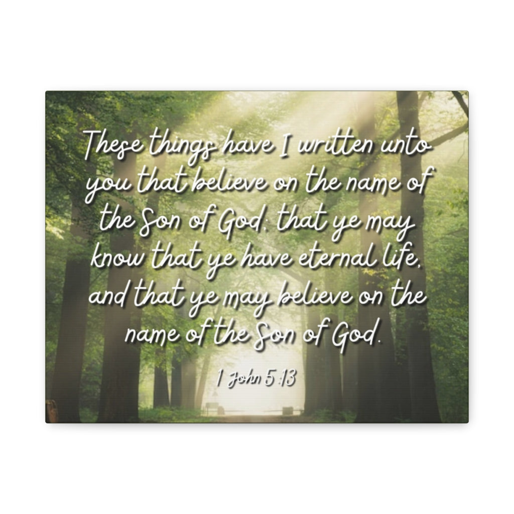 Scripture Walls Eternal Life 1 John 5:13 Bible Verse Canvas Christian Wall Art Ready to Hang Unframed-Express Your Love Gifts
