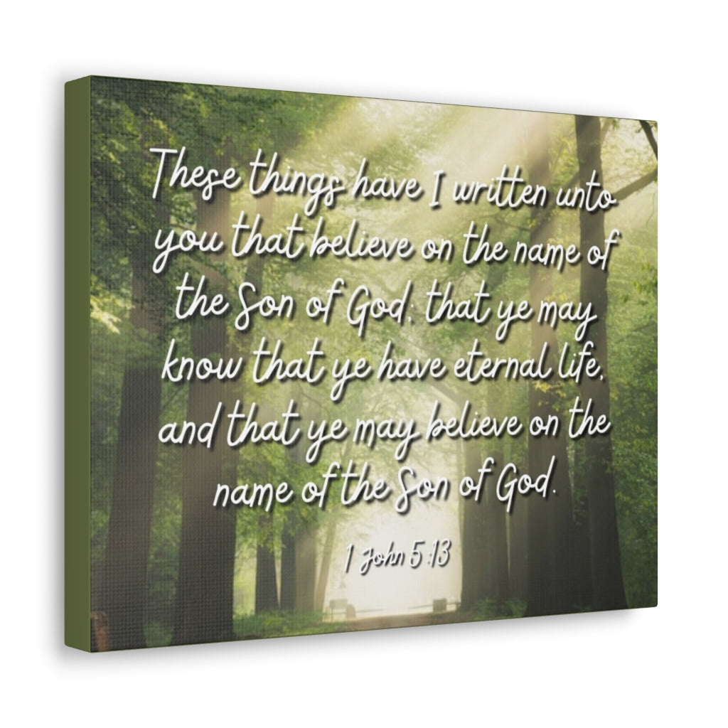 Scripture Walls Eternal Life 1 John 5:13 Bible Verse Canvas Christian Wall Art Ready to Hang Unframed-Express Your Love Gifts