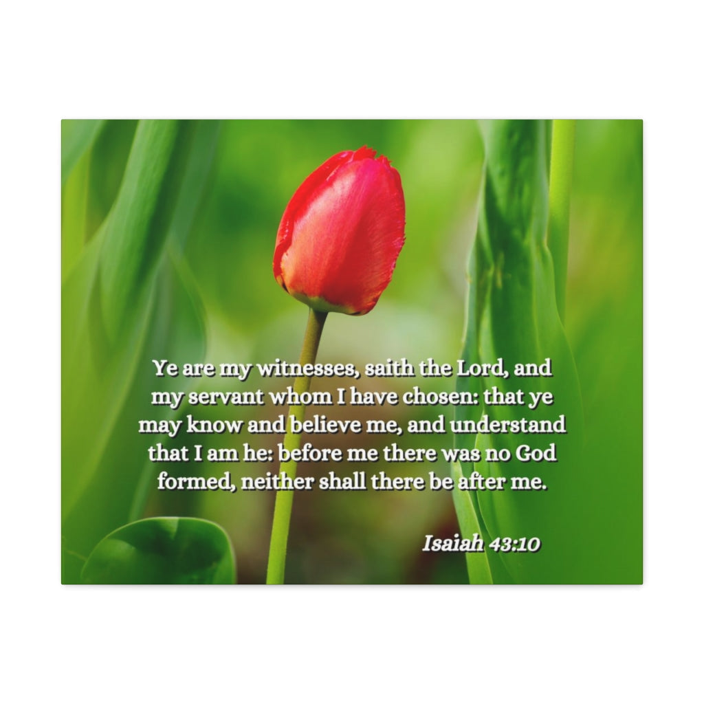 Scripture Walls I Have Chosen Isaiah 43:10 Bible Verse Canvas Christian Wall Art Ready to Hang Unframed-Express Your Love Gifts