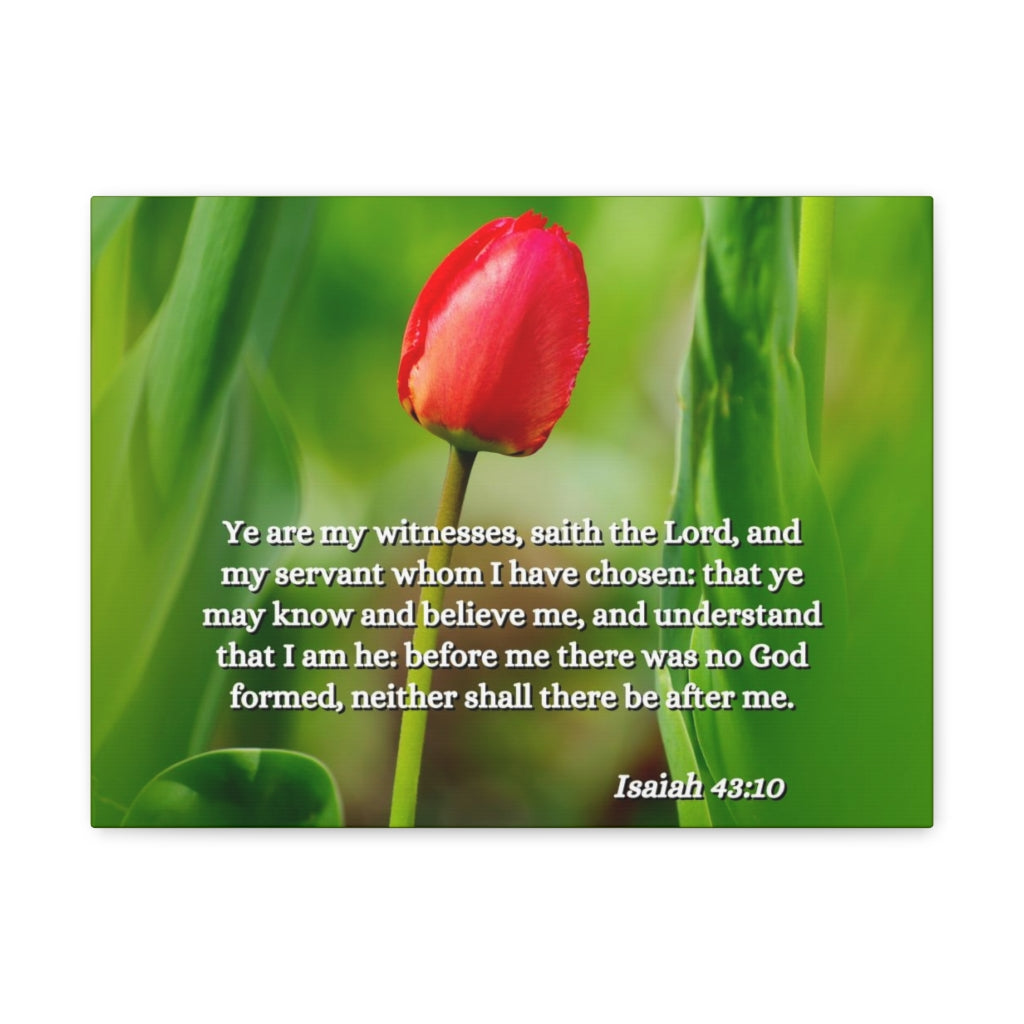 Scripture Walls I Have Chosen Isaiah 43:10 Bible Verse Canvas Christian Wall Art Ready to Hang Unframed-Express Your Love Gifts