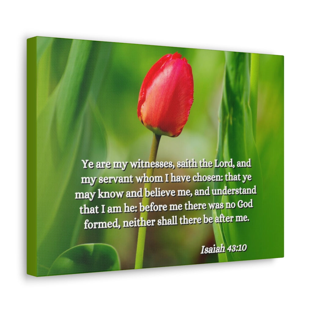 Scripture Walls I Have Chosen Isaiah 43:10 Bible Verse Canvas Christian Wall Art Ready to Hang Unframed-Express Your Love Gifts