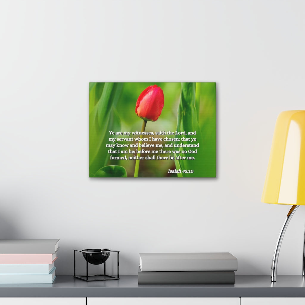 Scripture Walls I Have Chosen Isaiah 43:10 Bible Verse Canvas Christian Wall Art Ready to Hang Unframed-Express Your Love Gifts