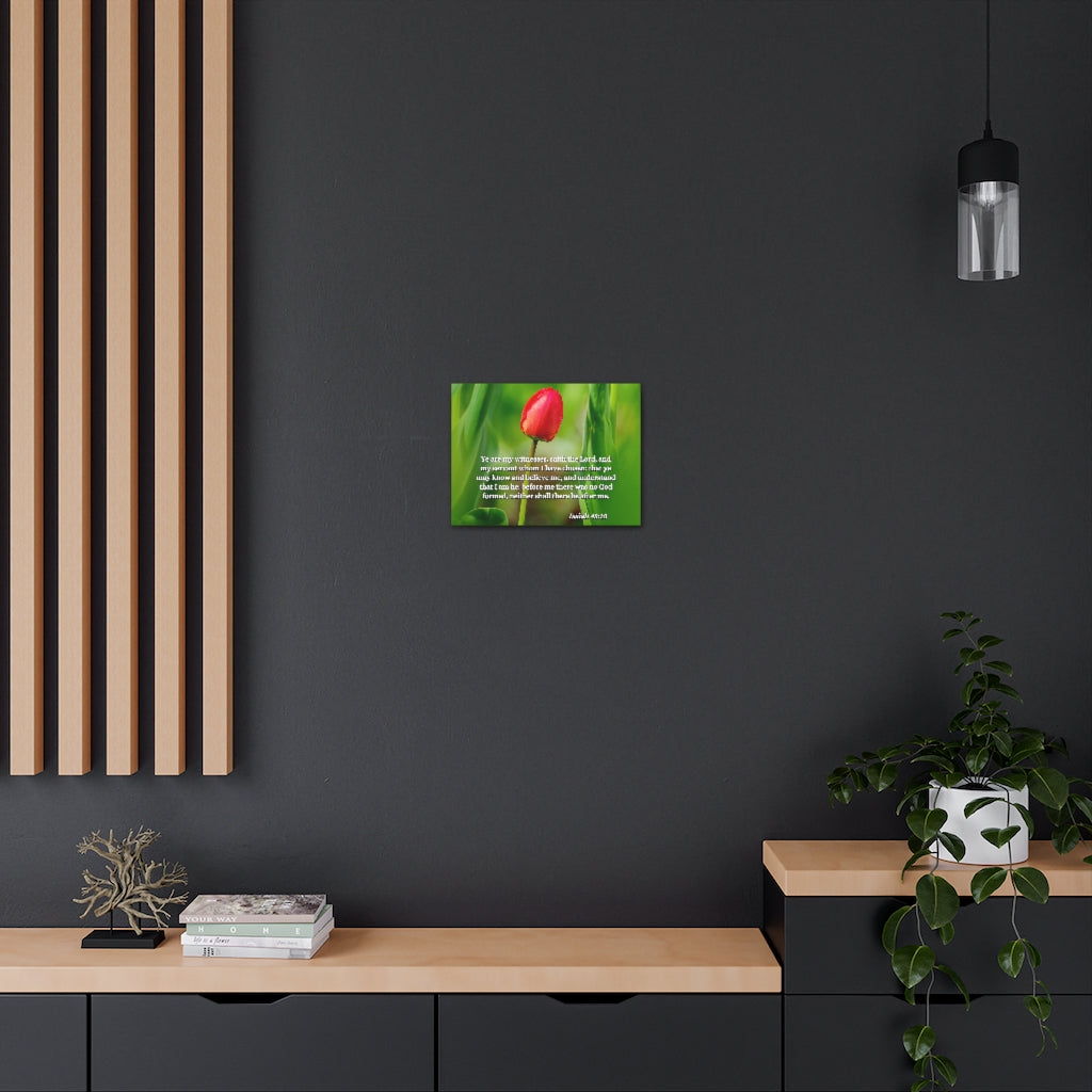Scripture Walls I Have Chosen Isaiah 43:10 Bible Verse Canvas Christian Wall Art Ready to Hang Unframed-Express Your Love Gifts