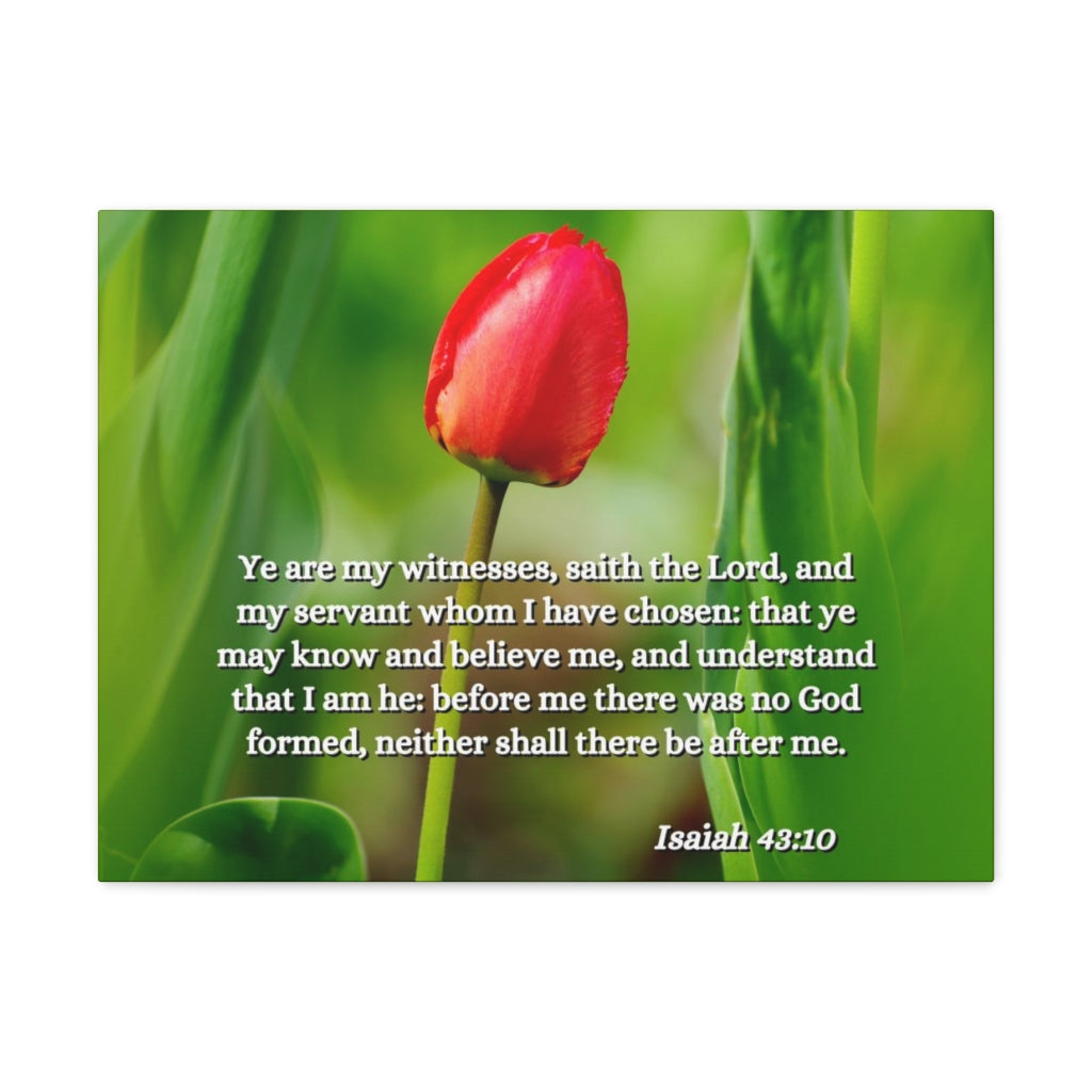 Scripture Walls I Have Chosen Isaiah 43:10 Bible Verse Canvas Christian Wall Art Ready to Hang Unframed-Express Your Love Gifts