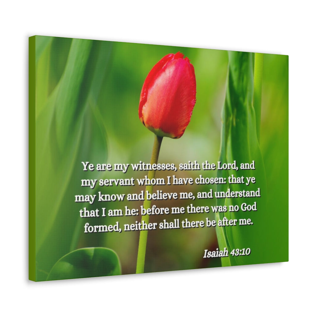 Scripture Walls I Have Chosen Isaiah 43:10 Bible Verse Canvas Christian Wall Art Ready to Hang Unframed-Express Your Love Gifts