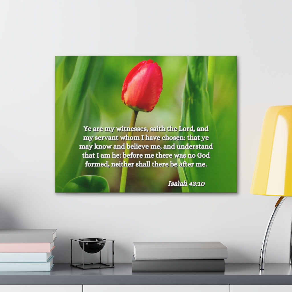 Scripture Walls I Have Chosen Isaiah 43:10 Bible Verse Canvas Christian Wall Art Ready to Hang Unframed-Express Your Love Gifts