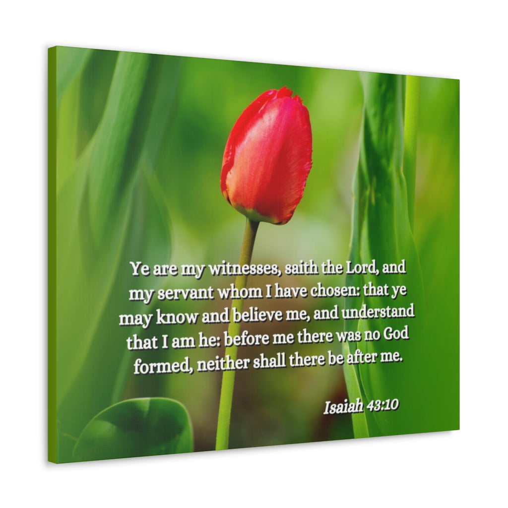Scripture Walls I Have Chosen Isaiah 43:10 Bible Verse Canvas Christian Wall Art Ready to Hang Unframed-Express Your Love Gifts