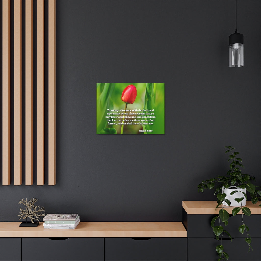 Scripture Walls I Have Chosen Isaiah 43:10 Bible Verse Canvas Christian Wall Art Ready to Hang Unframed-Express Your Love Gifts