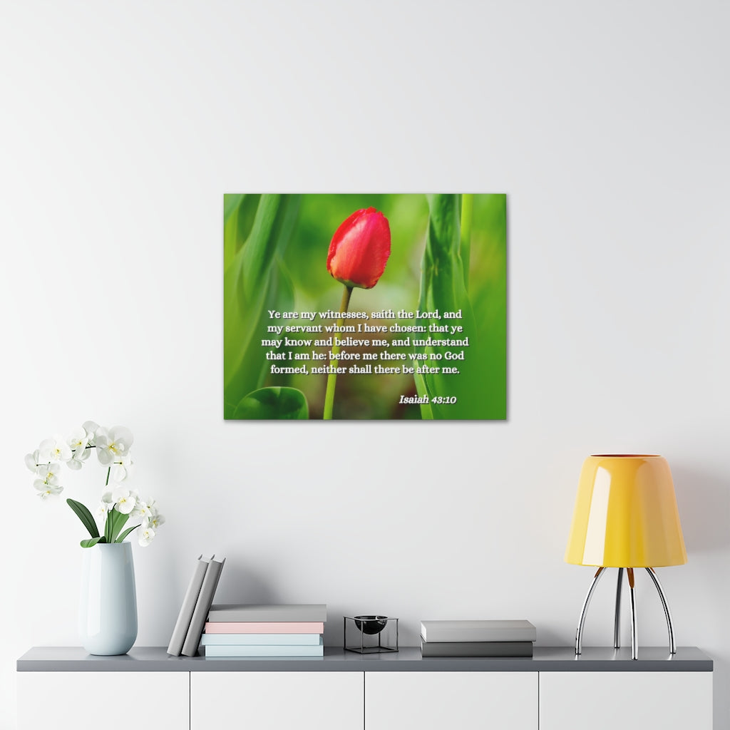 Scripture Walls I Have Chosen Isaiah 43:10 Bible Verse Canvas Christian Wall Art Ready to Hang Unframed-Express Your Love Gifts
