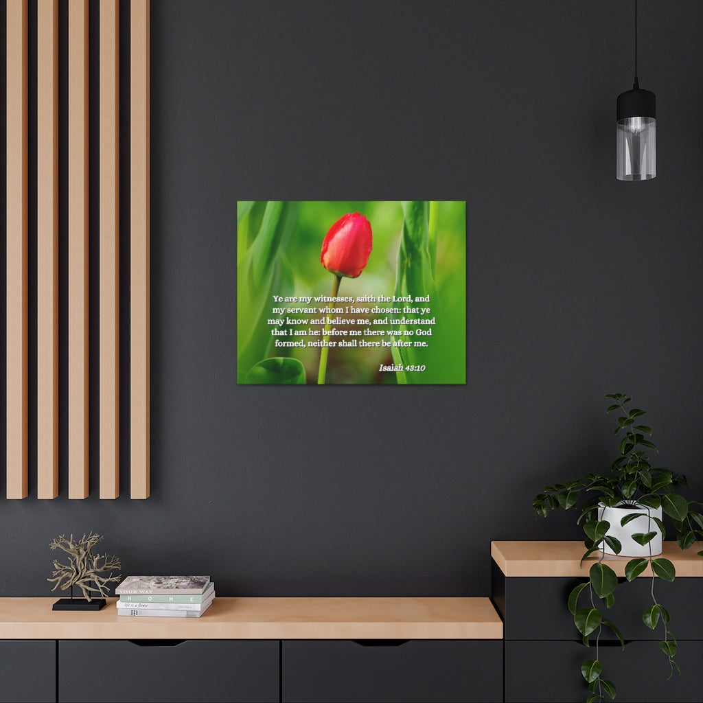 Scripture Walls I Have Chosen Isaiah 43:10 Bible Verse Canvas Christian Wall Art Ready to Hang Unframed-Express Your Love Gifts