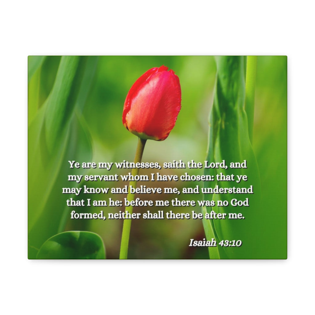 Scripture Walls I Have Chosen Isaiah 43:10 Bible Verse Canvas Christian Wall Art Ready to Hang Unframed-Express Your Love Gifts