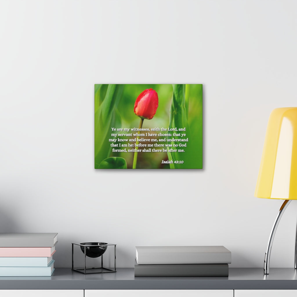 Scripture Walls I Have Chosen Isaiah 43:10 Bible Verse Canvas Christian Wall Art Ready to Hang Unframed-Express Your Love Gifts
