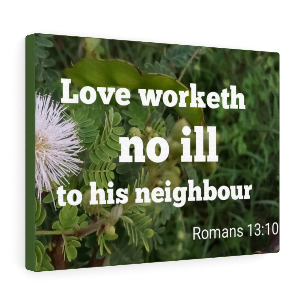 Neighbor Romans 13:10 Bible Verse Canvas Christian Wall Art Ready to Hang Unframed-Express Your Love Gifts