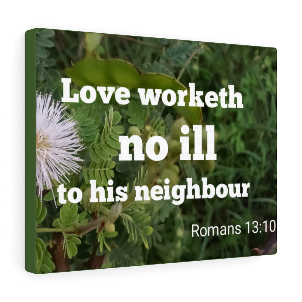 Neighbor Romans 13:10 Bible Verse Canvas Christian Wall Art Ready to Hang Unframed-Express Your Love Gifts