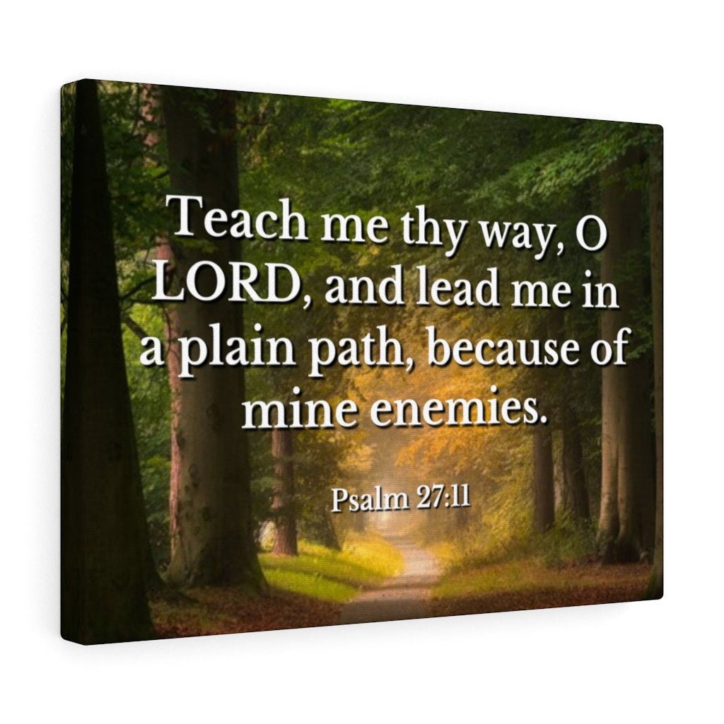 Plain Path Psalm 27:11 Bible Verse Canvas Christian Wall Art Ready to Hang Unframed-Express Your Love Gifts