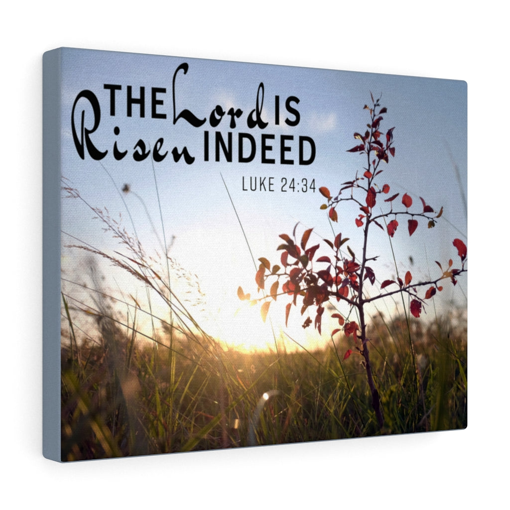 Risen Indeed Luke 24:34 Bible Verse Canvas Christian Wall Art Ready to Hang Unframed-Express Your Love Gifts
