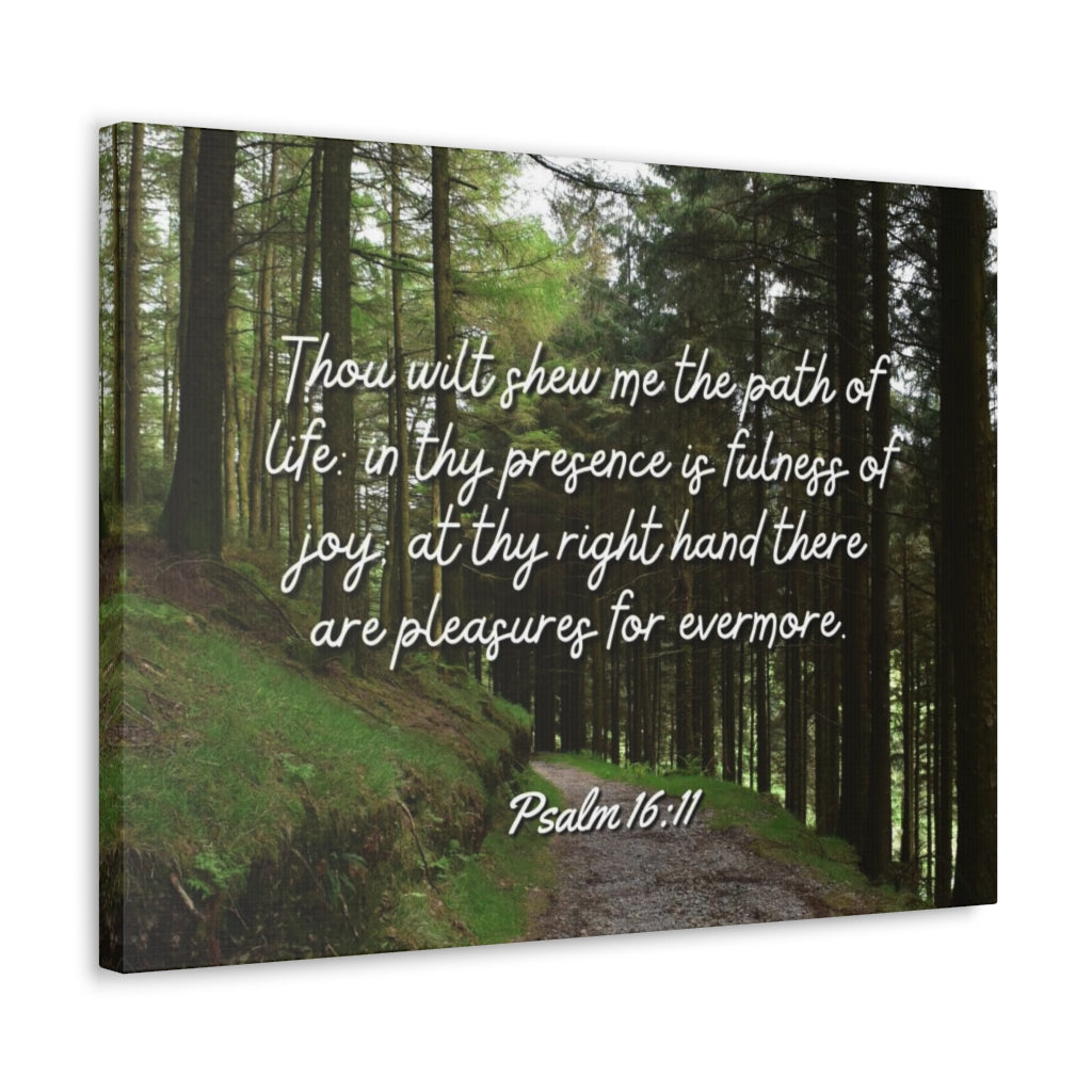 Scripture Walls The Path Of Life Psalm 16:11 Bible Verse Canvas Christian Wall Art Ready to Hang Unframed-Express Your Love Gifts