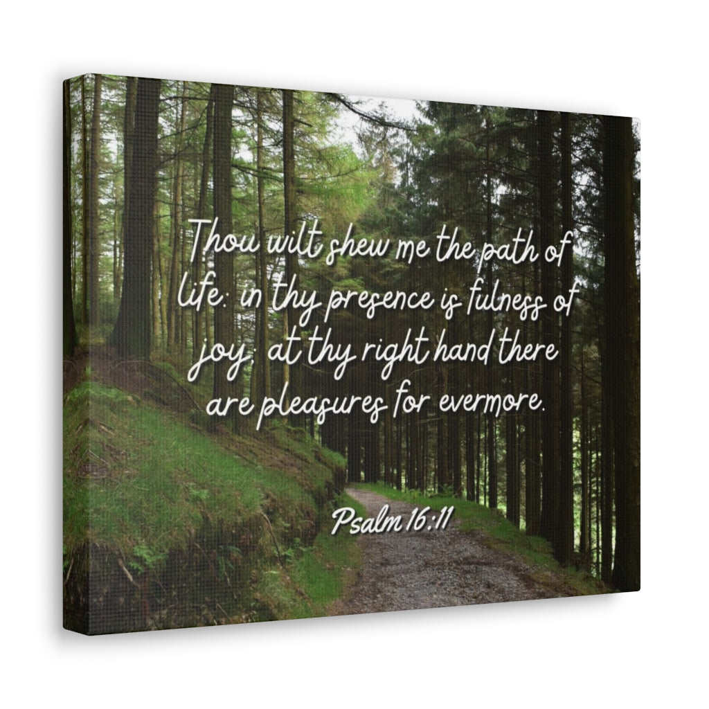 Scripture Walls The Path Of Life Psalm 16:11 Bible Verse Canvas Christian Wall Art Ready to Hang Unframed-Express Your Love Gifts