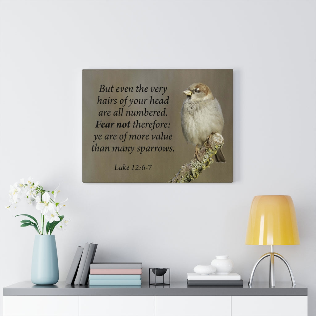 Scripture Walls Value Luke 12:6-7 Bible Verse Canvas Christian Wall Art Ready to Hang Unframed-Express Your Love Gifts